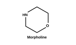 Morpholine